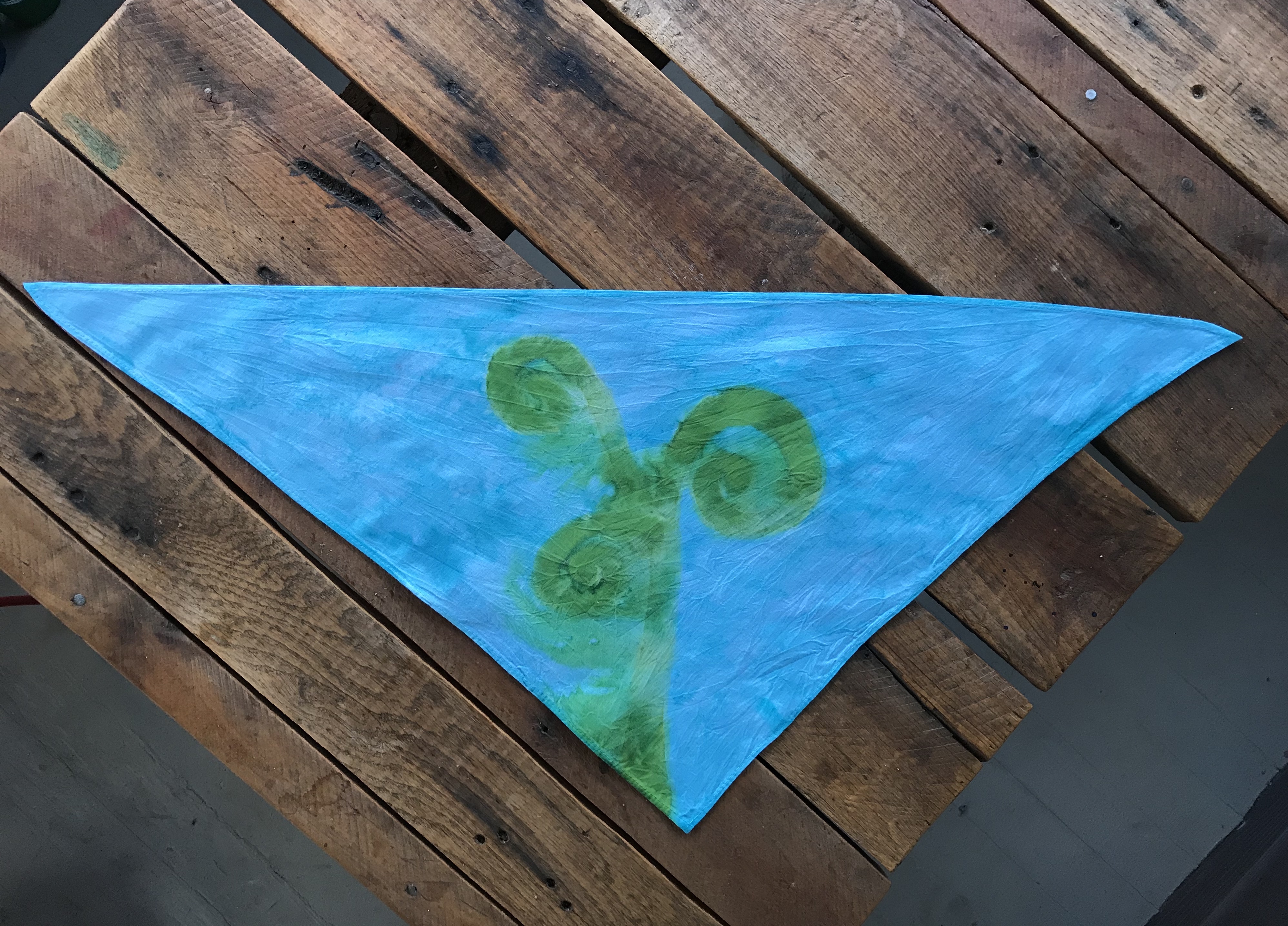 Seaweed